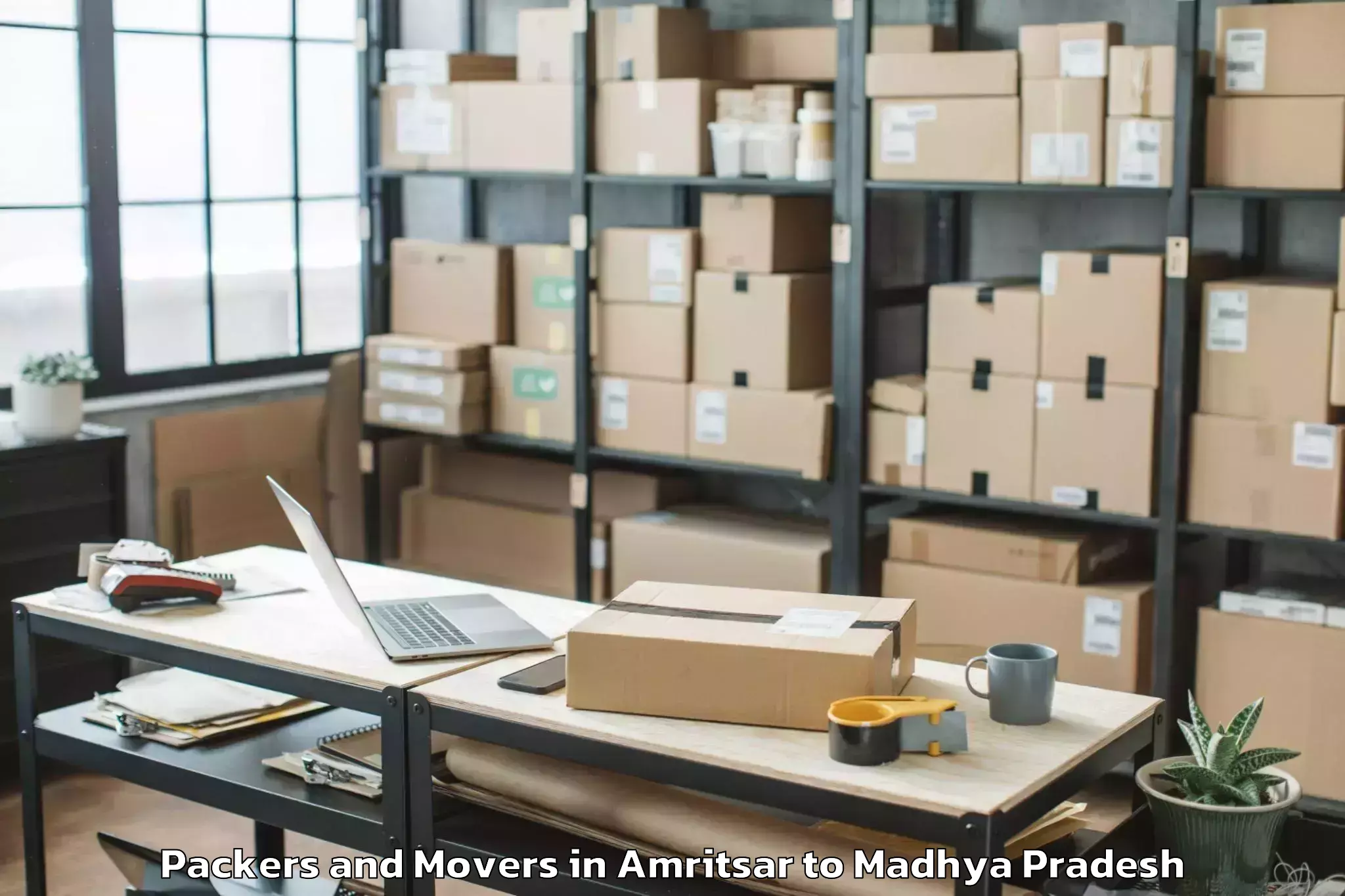 Professional Amritsar to Gwalior Gird Packers And Movers